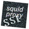 Squid で SSL の URL を細かく制限・許可できない理由