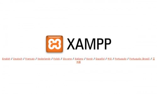 XAMPP インストール後のスタート画面